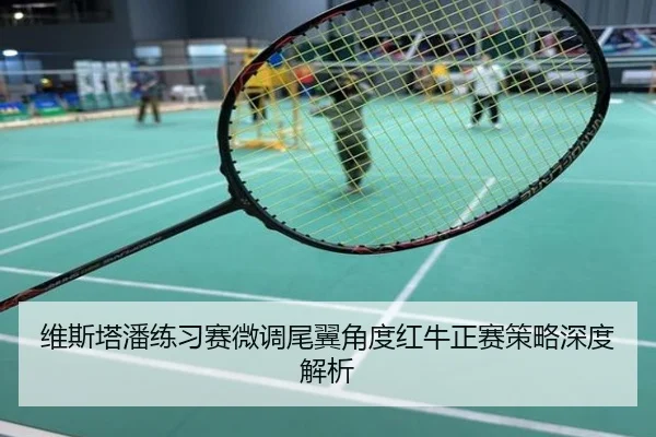 维斯塔潘练习赛微调尾翼角度红牛正赛策略深度解析